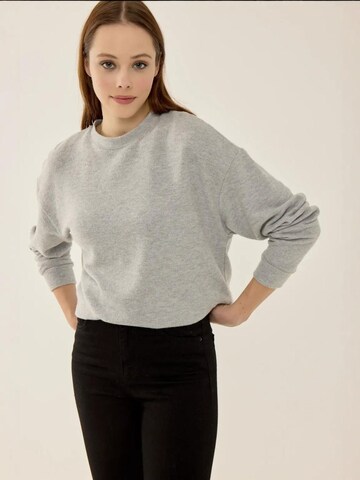 HiccupPulover 'Pullover' - siva boja