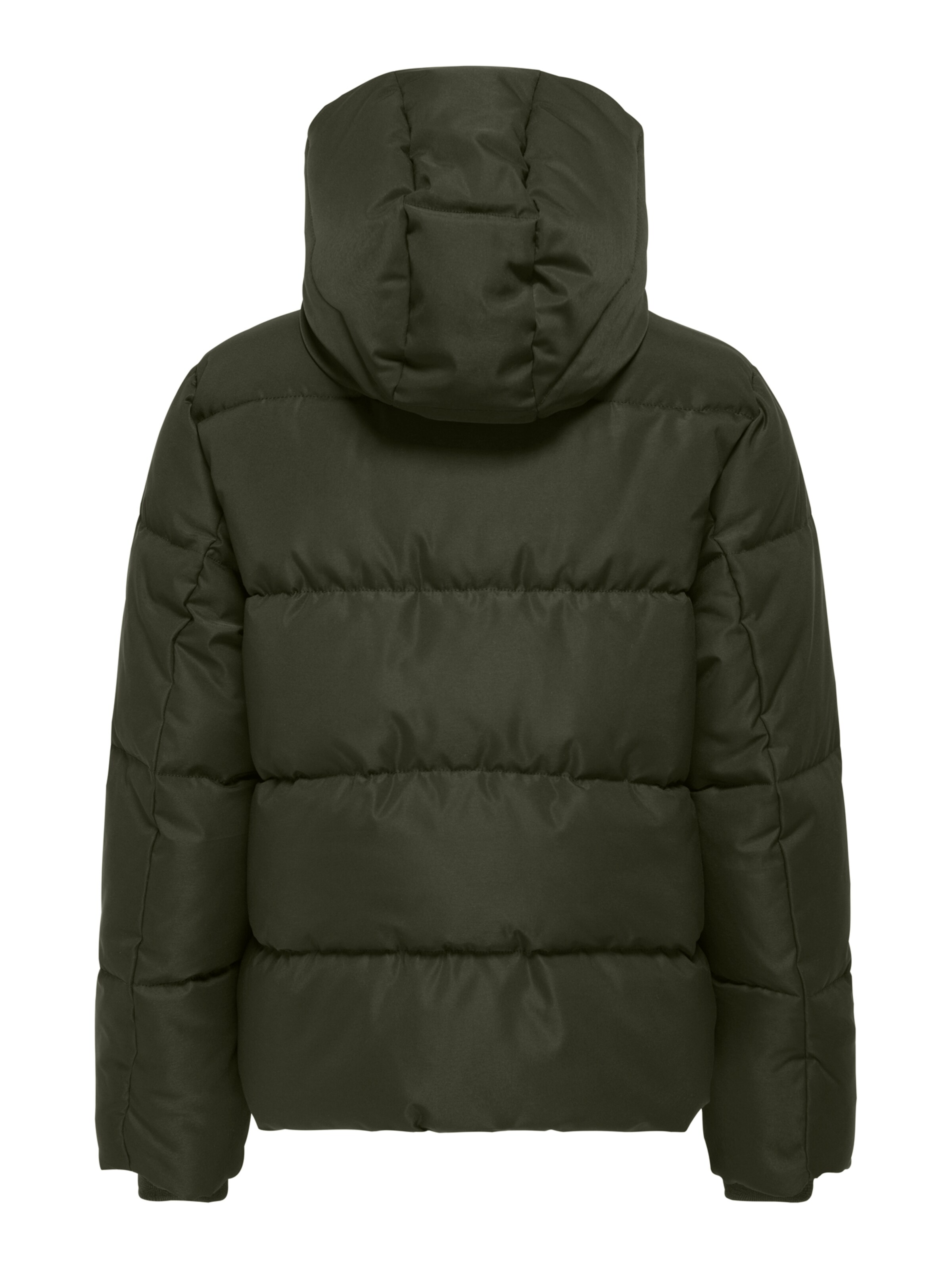 JDY Between-Season Jacket 'JDYMAJA' in Green