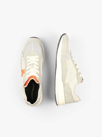 Scalpers Sneaker in Grau