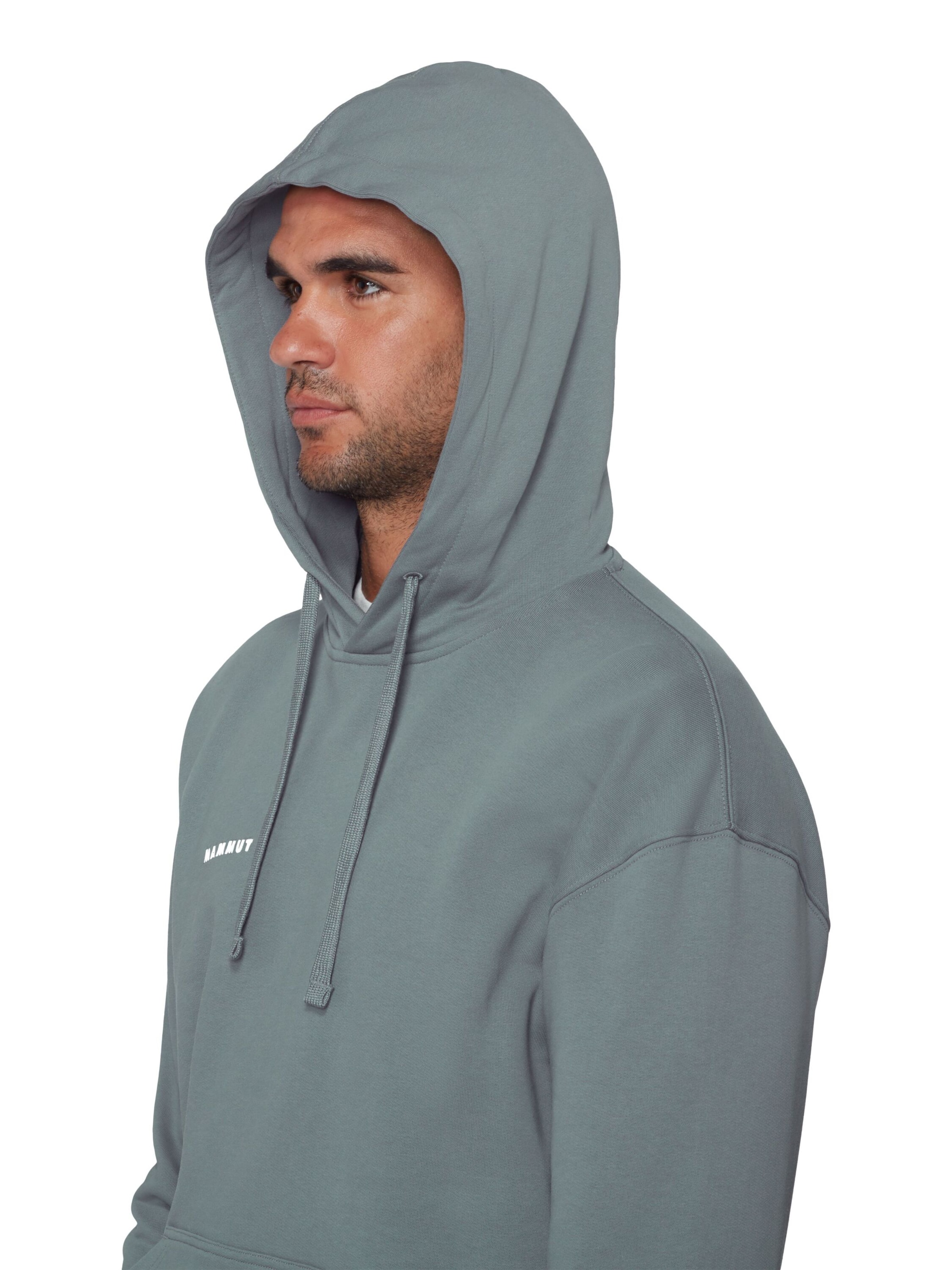 MAMMUT Athletic Sweater in Grey