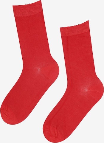 Sokisahtel Socks ''JANNE'' in Red: front