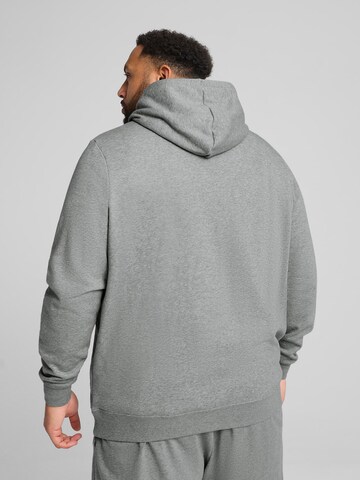 PUMA Спортивный свитшот 'ESS No. 1' в Серый
