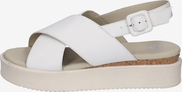 GERRY WEBER Strap Sandals 'Cervo 01' in White: front