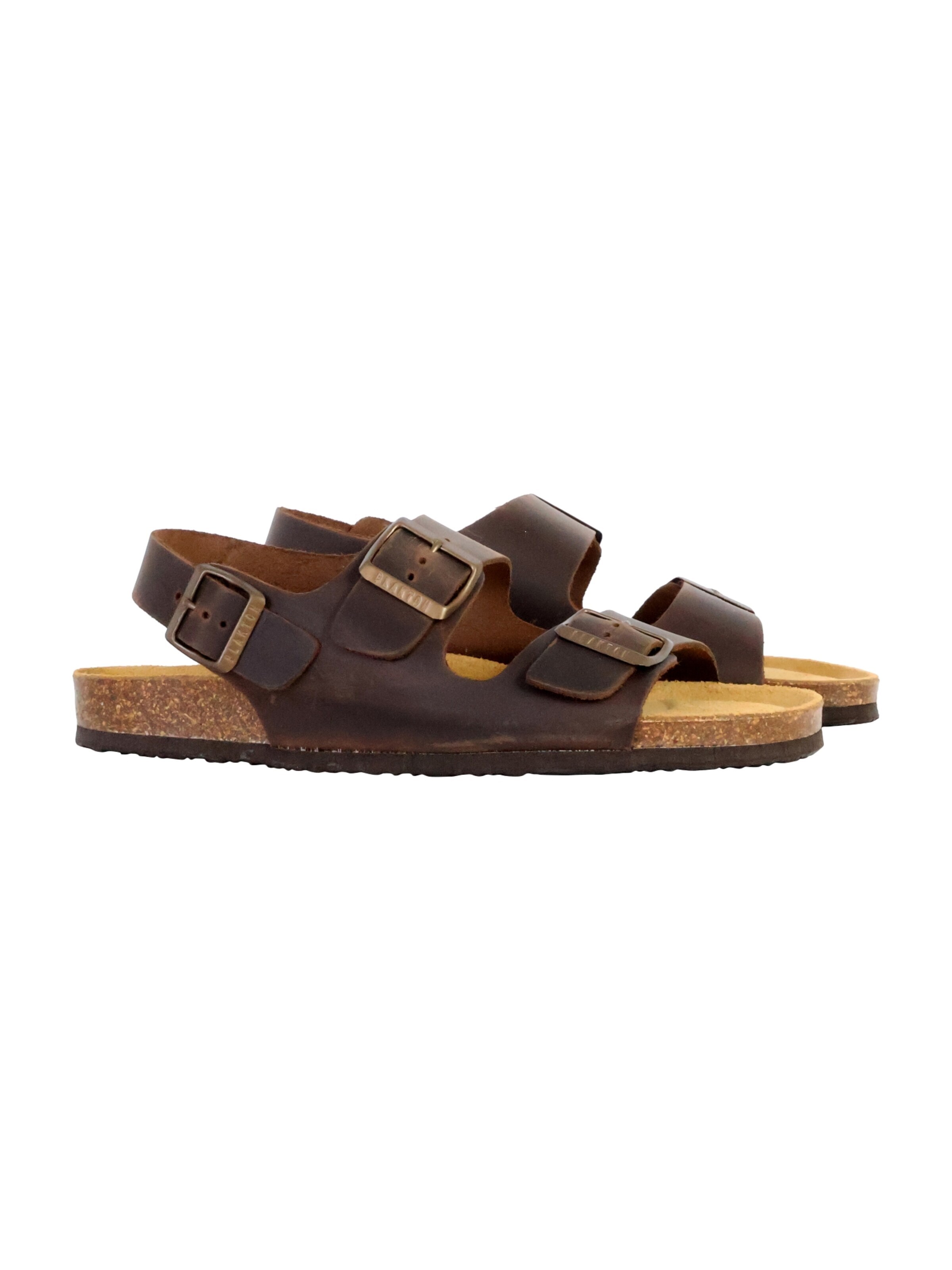 Mule Plakton en marron