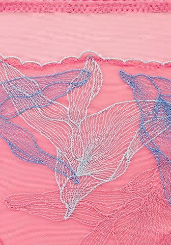 String LASCANA en rose