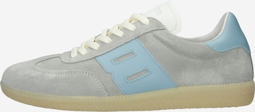 BLACKSTONE Låg sneaker 'Lime Wren DL445' i grå: framsida