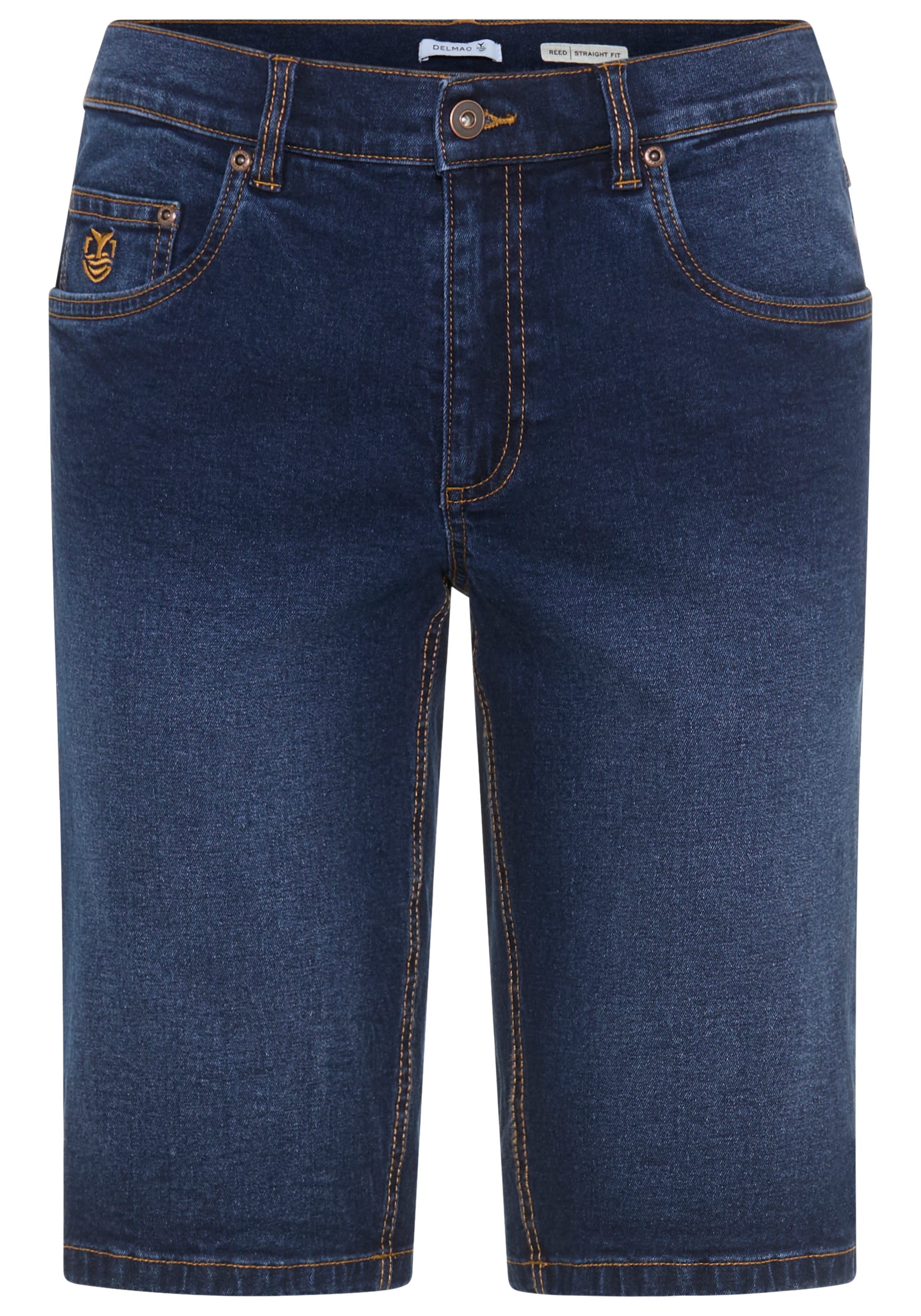 DELMAO Jeans in Blue: front