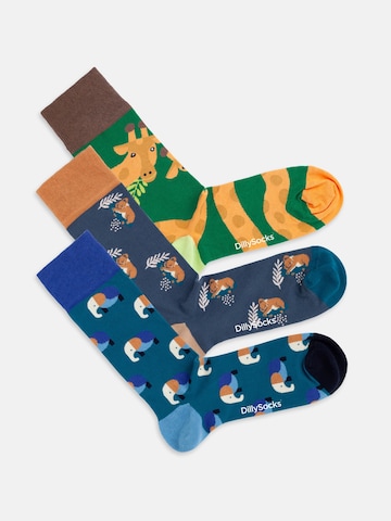 Chaussettes 'Wild Steps' DillySocks en mélange de couleurs