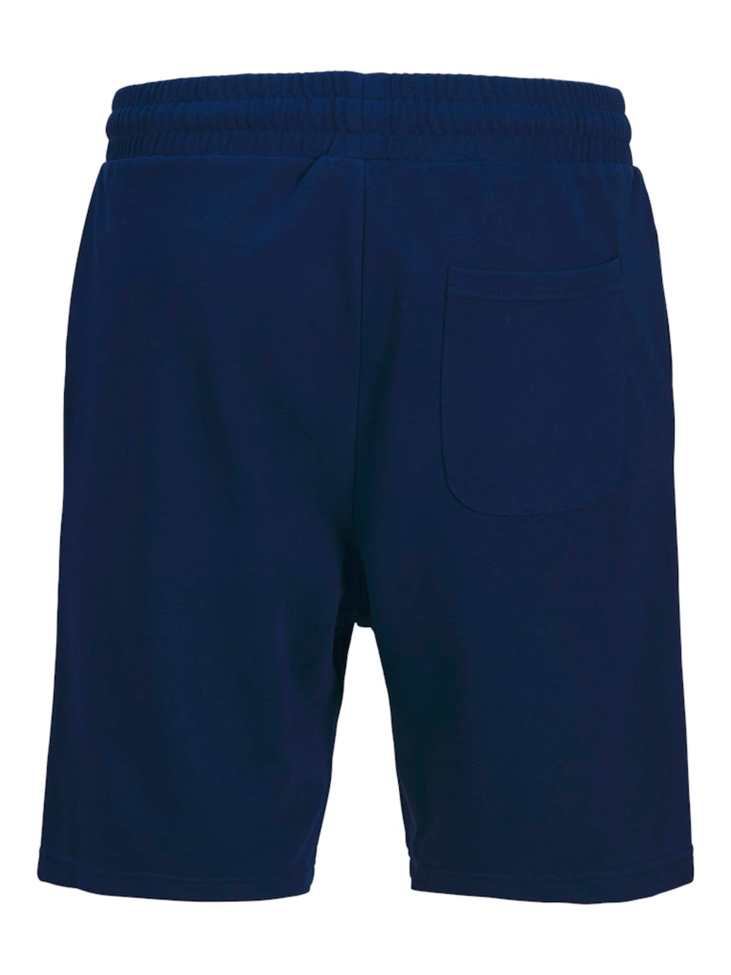 JACK & JONESLoosefit Hlače 'JJKANE JJVESTERBRO' - plava boja