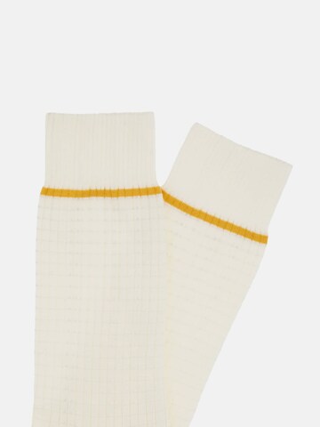 Boggi Milano Socks in Beige