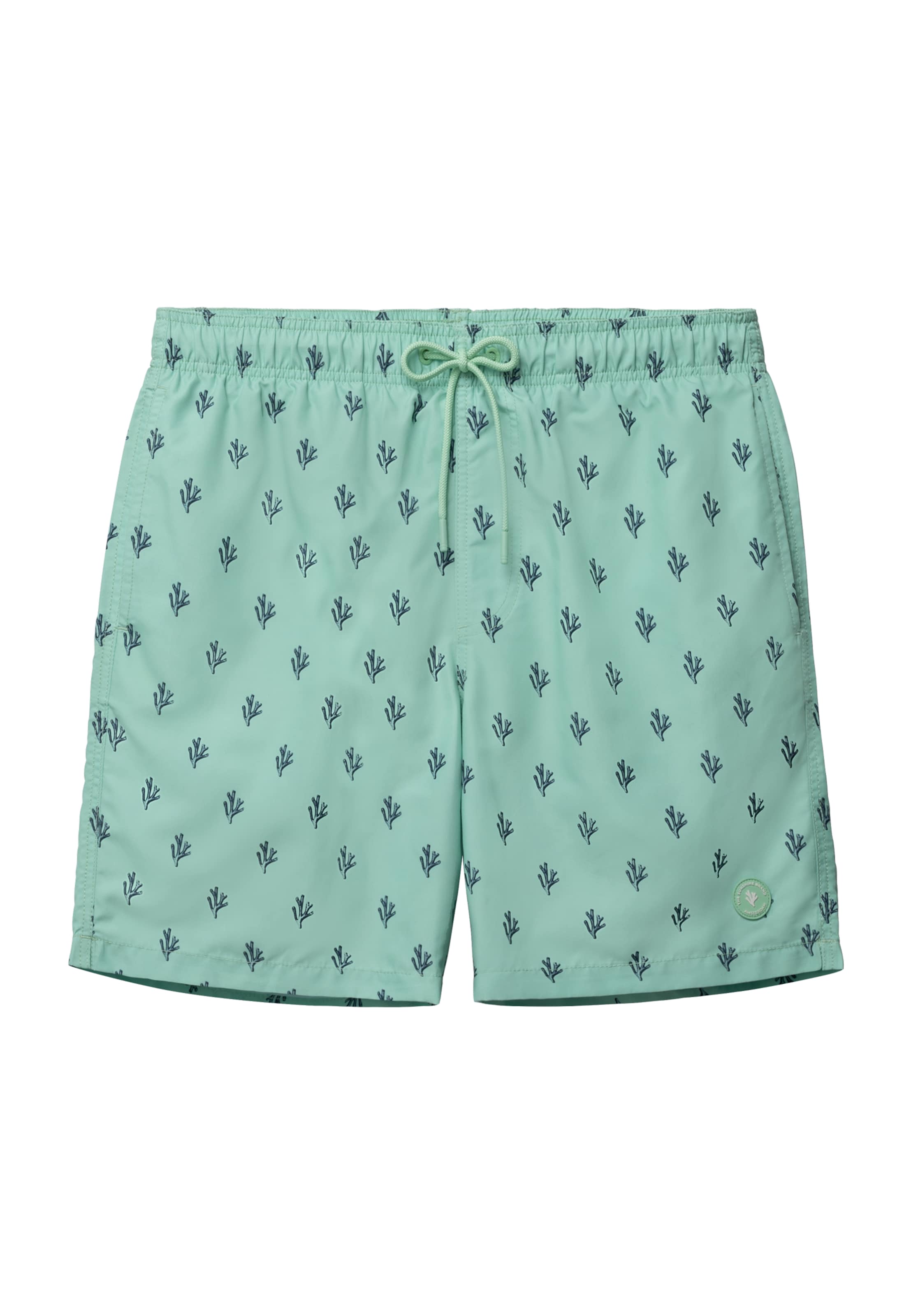 Shorts de bain Shiwi en vert : devant