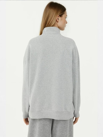 Hiccup Sweatshirt in Grau