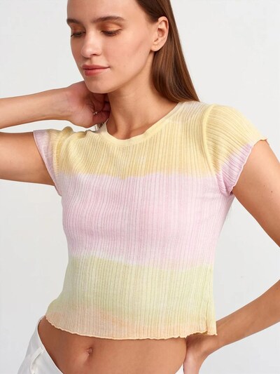 Dilvin Pull-over 'Pullover' en S-L en mélange de couleurs, Vue avec produit