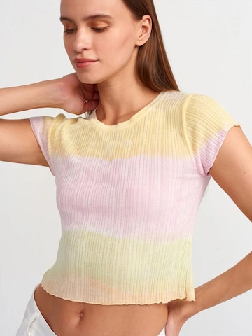 Dilvin - Pullover 'Pullover' em mistura de cores: frente