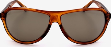 Occhiali da sole 'WE0291' di Web Eyewear in marrone: frontale