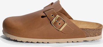 Bayton Plätu 'Milky', värv pruun: eest vaates