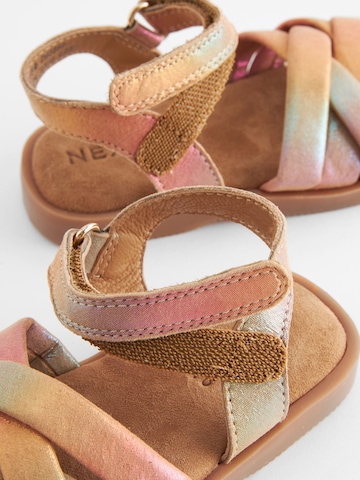 Next Sandalen in Roze