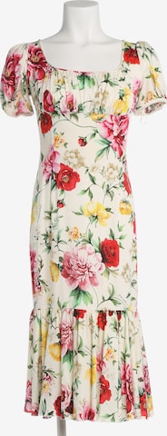 DOLCE & GABBANA Kleid XS in Mischfarben: Vorderseite