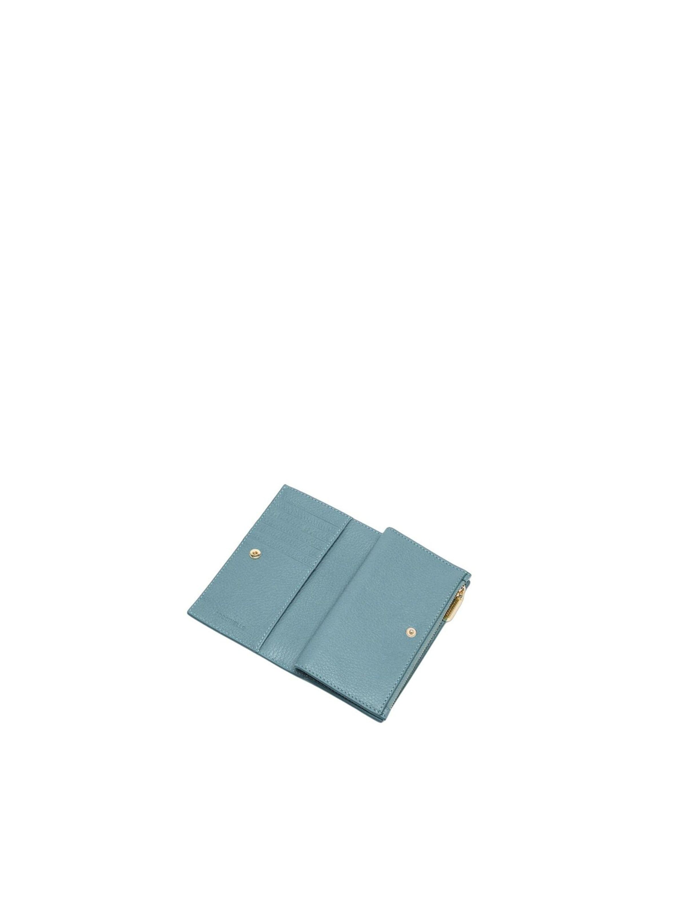 Coccinelle Wallet 'E2MW511F101' in Blue