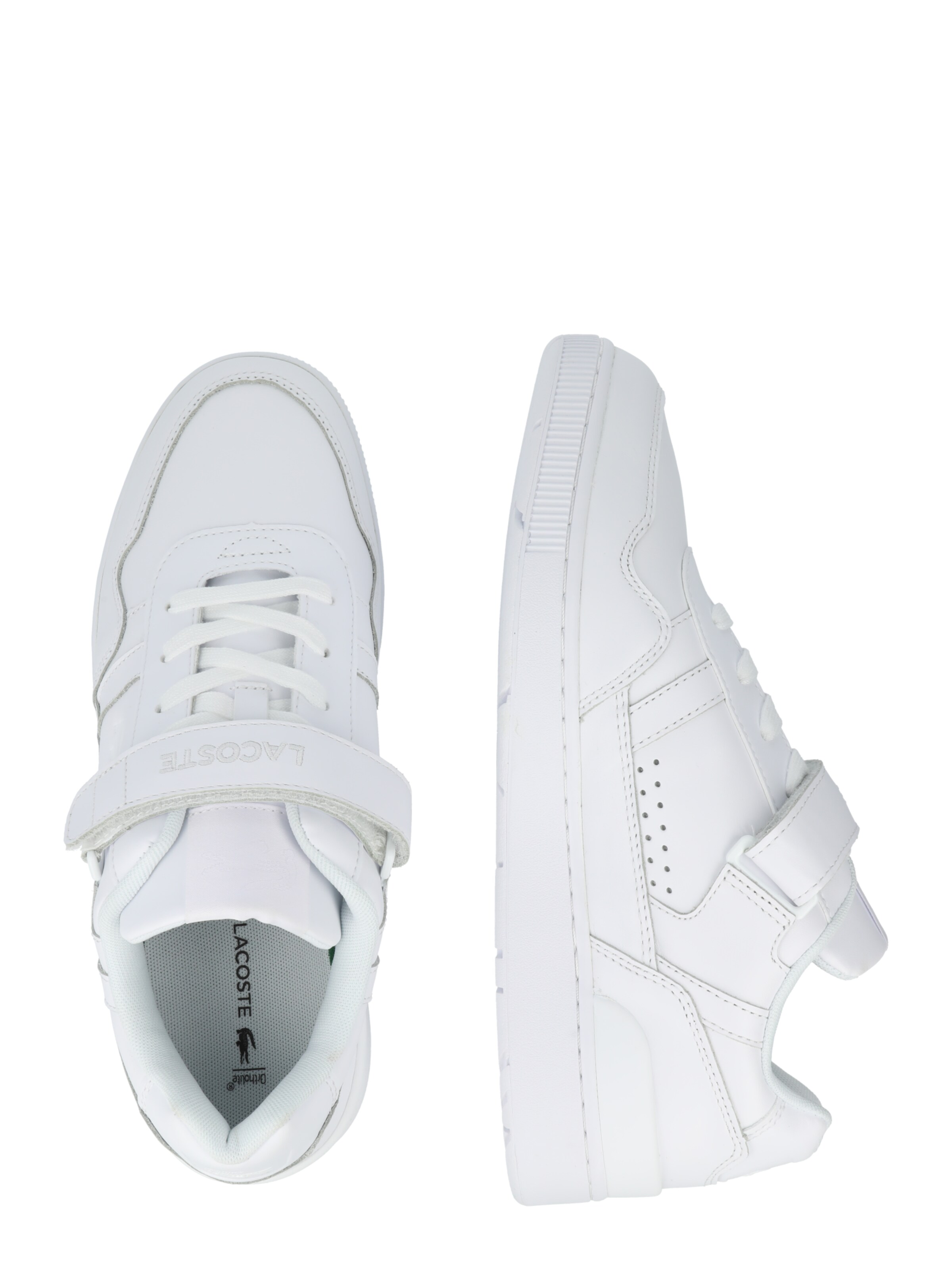 Sneaker bassa di LACOSTE in bianco