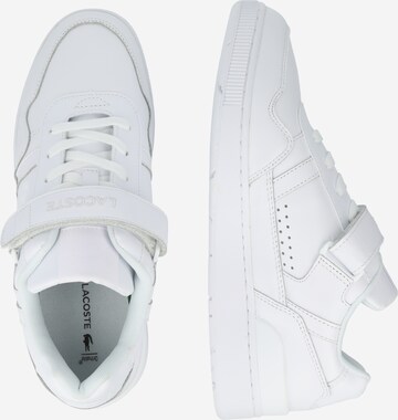 Baskets basses LACOSTE en blanc