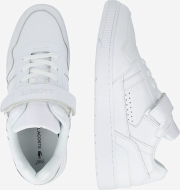 Sneaker bassa di LACOSTE in bianco
