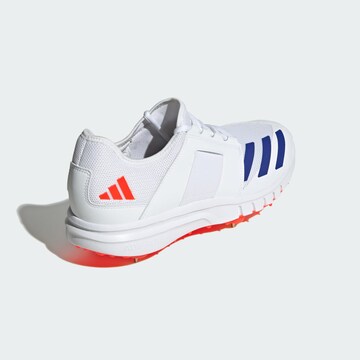 ADIDAS PERFORMANCE Sports shoe 'Howzat Spike 20' in White