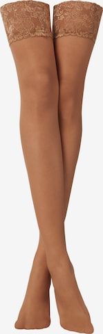 CALZEDONIA Hold-up stockings in Beige: front
