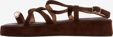 Sandales 'Joalice Riemchensandalen' Super Mode en marron : devant