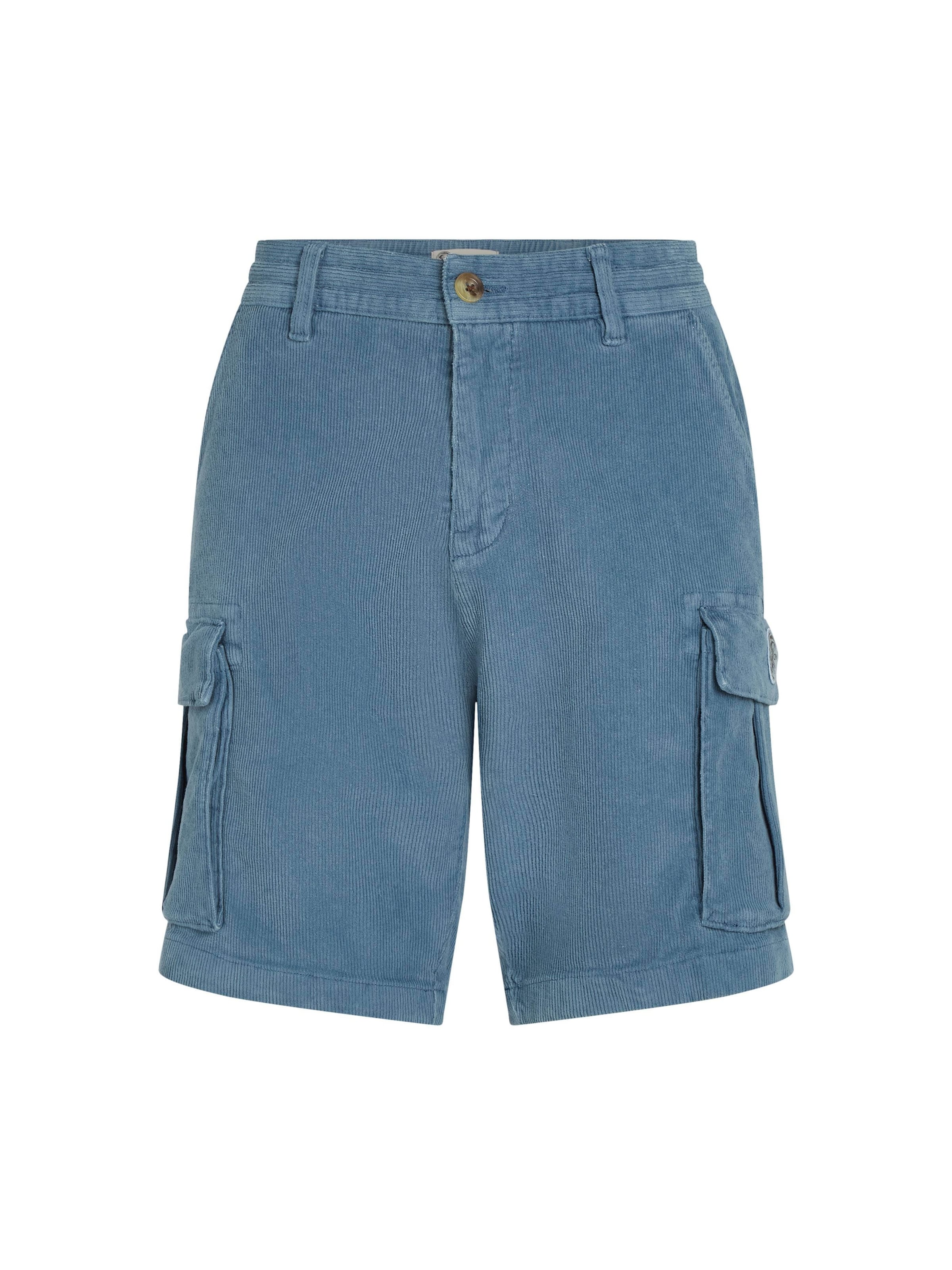 O'NEILL Regularen Kargo hlače | modra barva: sprednja stran