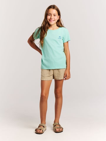 PROTEST Shirt 'PRTRoxo JR' in Green