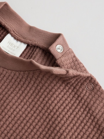 Next Set in Brown