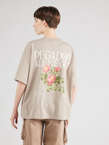 Pegador Shirt 'BEALI' in Grijs: voorkant