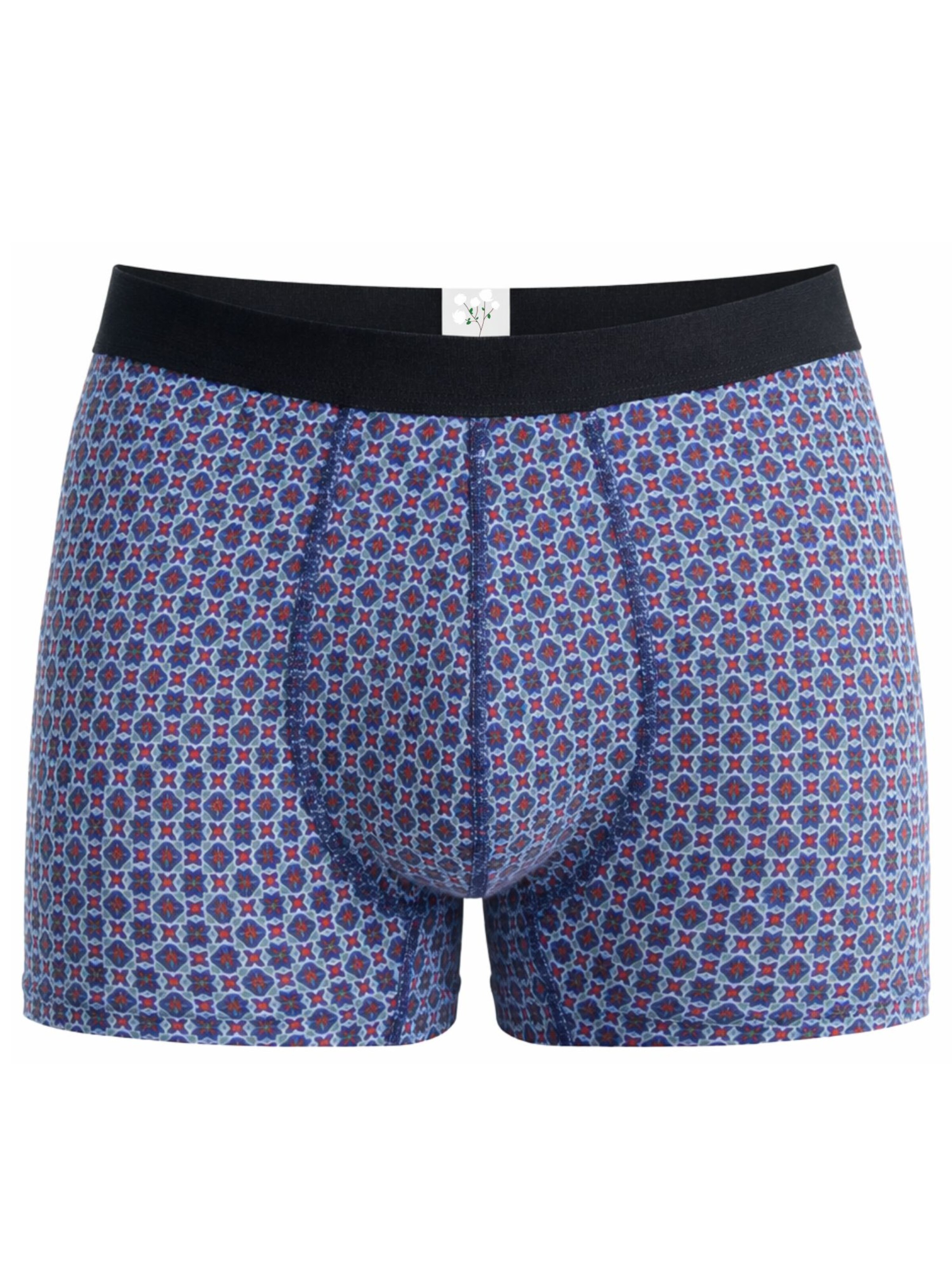 Albero Natur Boxer shorts 'Herren Trunkshorts aus Bio-Baumwolle' in Blue: front