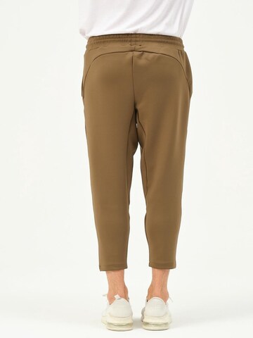C&City Tapered Trousers in Green