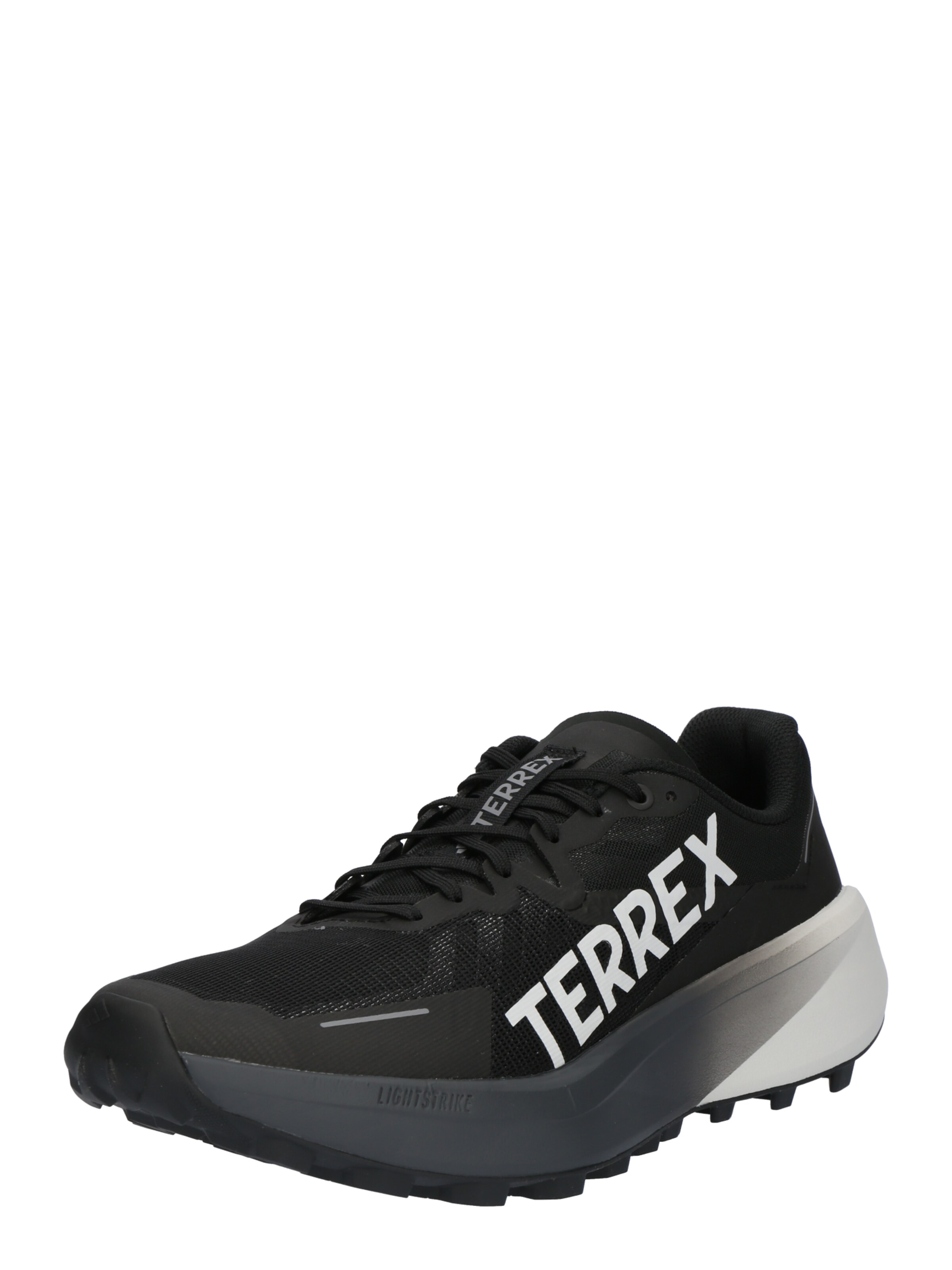 ADIDAS TERREX Outdoorschuh 'Agravic 3' in Schwarz: Vorderseite