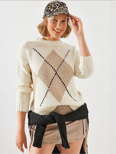 Bianco Lucci Sweater in Ivory / Kitt / Dark brown, Item view