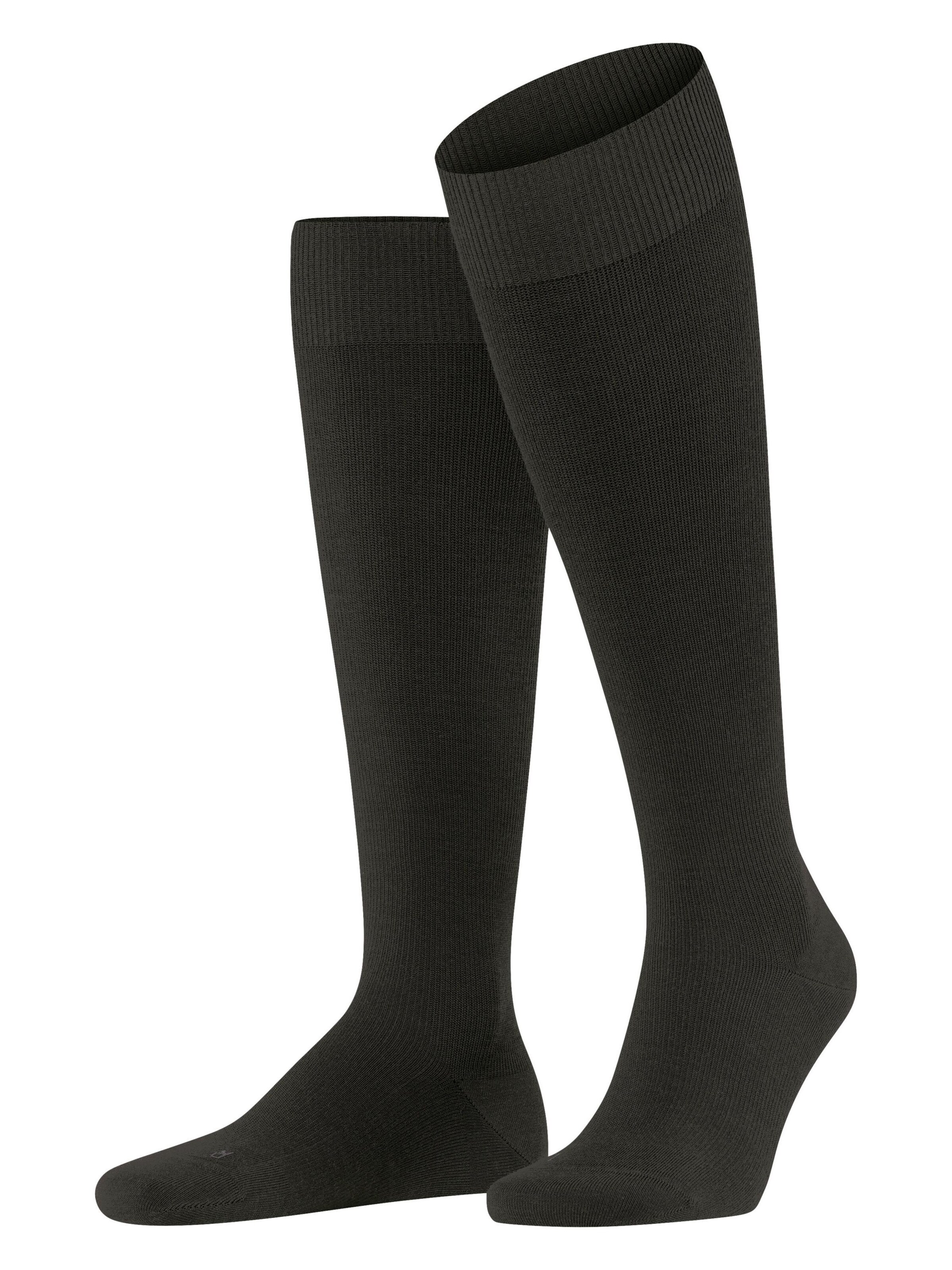 FALKE Kniestrümpfe 'Energizing Wool'‌‌ in Braun: Vorderseite