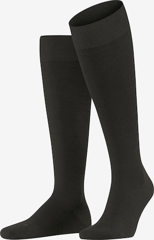 FALKE Kniestrümpfe 'Energizing Wool' in Braun: Vorderseite