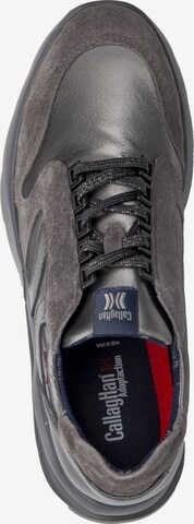 Callaghan Sneakers in Grey