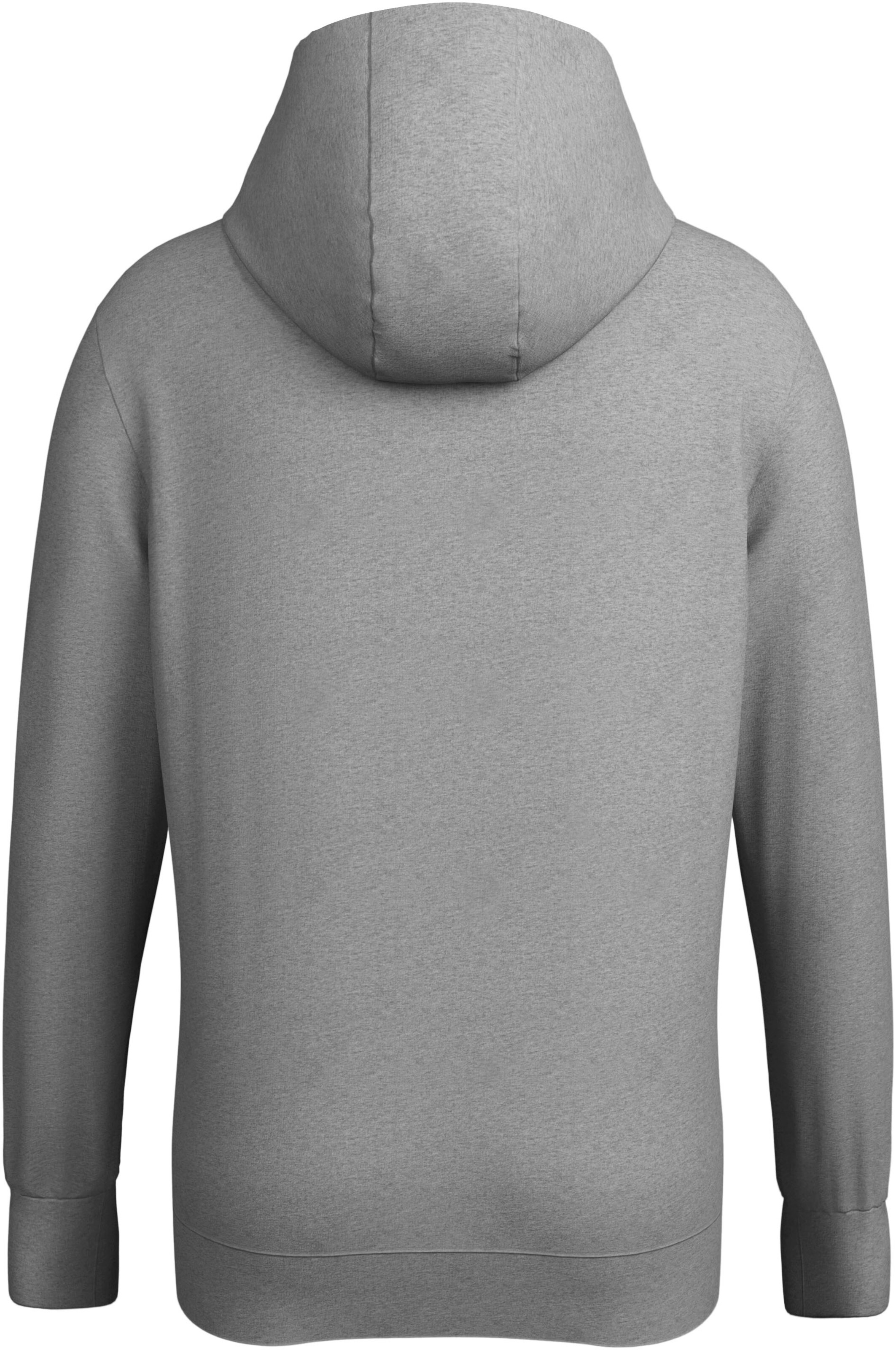 DELMAO Sweatshirt in Grau