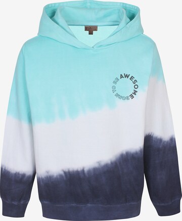 Kids Up Sweatshirt in Blue: front