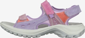 IMAC Hiking Sandals in Purple