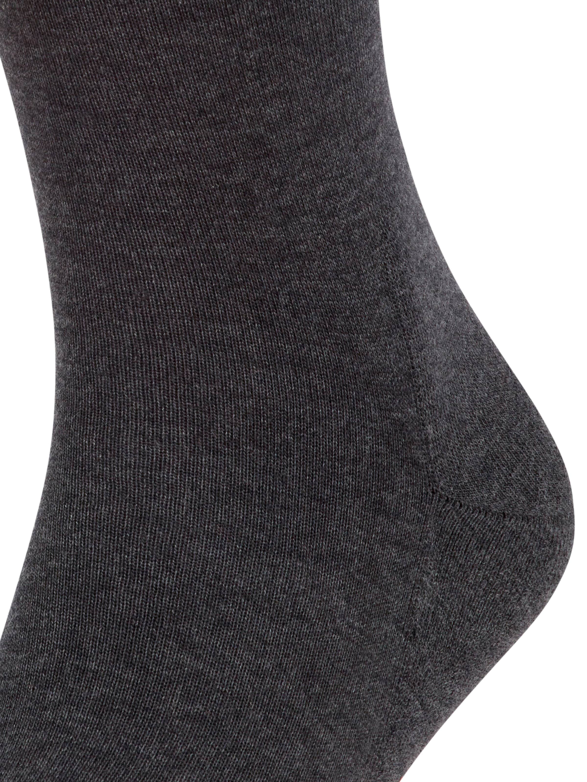 FALKE Socks 'Run' in Grey