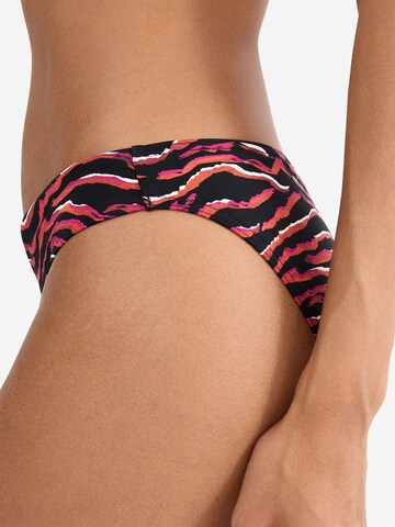TRIUMPH Bikini bottom ' Red Label Summer Wild Tai ' in Orange