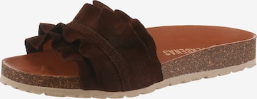 VERBENAS Mules in Brown: front