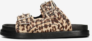 Haboob Mule 'ELYSÉE' in Brown: front