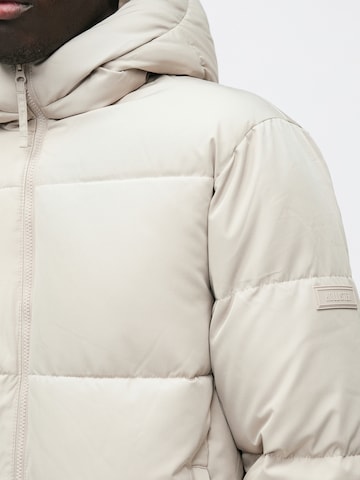 pilka HOLLISTER Žieminė striukė