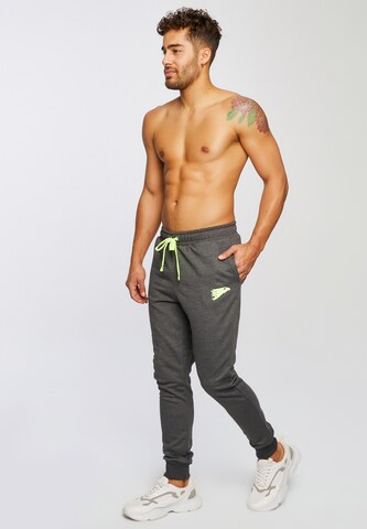 Leif Nelson Slim fit Pants in Grey