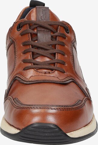 SIOUX Sneakers ' Rojaro-713 ' in Brown